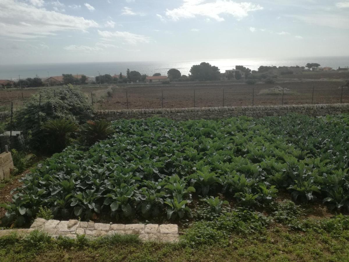 Villa Bove Marina di Ragusa Kültér fotó